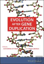 Evolution After Gene Duplication