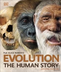 Bertrand.pt - Evolution
