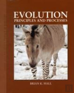 Bertrand.pt - Evolution