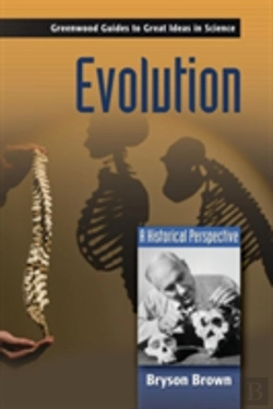 Bertrand.pt - Evolution