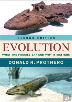 Bertrand.pt - Evolution