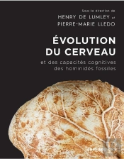 Évolution Du Cerveau Et Des Capacités Cognitives Des Hominidés Fossiles