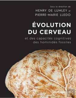 Bertrand.pt - Évolution Du Cerveau Et Des Capacités Cognitives Des Hominidés Fossiles