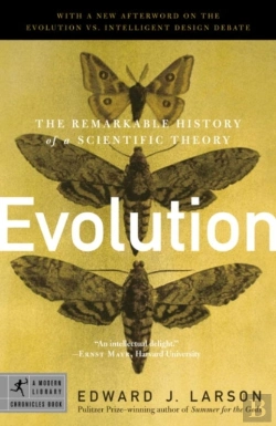 Bertrand.pt - Evolution