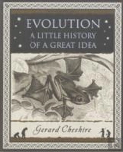 Bertrand.pt - Evolution