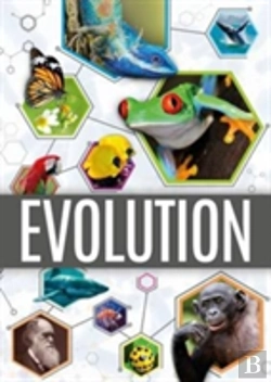 Bertrand.pt - Evolution