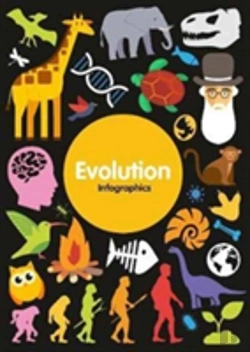 Bertrand.pt - Evolution