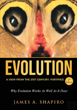 Bertrand.pt - Evolution