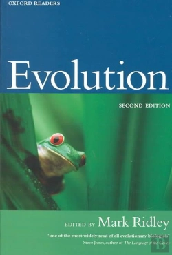 Bertrand.pt - Evolution