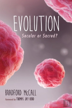 Bertrand.pt - Evolution