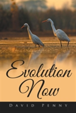 Bertrand.pt - Evolution Now