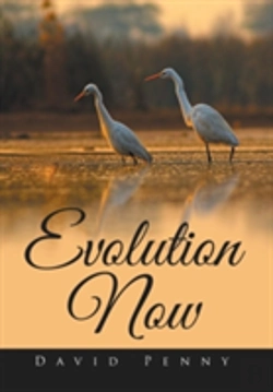 Bertrand.pt - Evolution Now