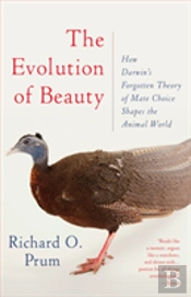 Evolution Of Beauty