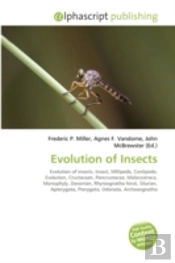 Evolution Of Insects
