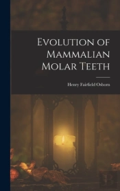 Evolution Of Mammalian Molar Teeth