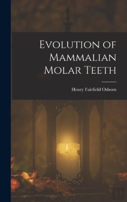 Bertrand.pt - Evolution Of Mammalian Molar Teeth