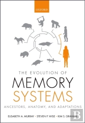 Evolution Of Memory Systems
