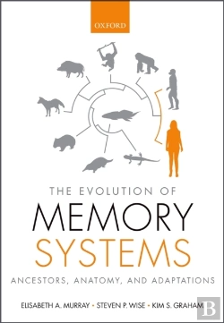 Bertrand.pt - Evolution Of Memory Systems