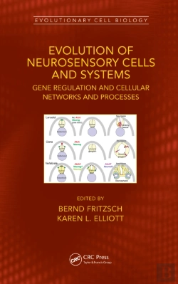 Bertrand.pt - Evolution Of Neurosensory Cells And Systems