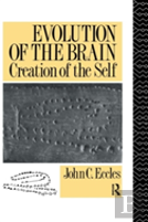 Evolution Of The Brain: Creation Of The Self