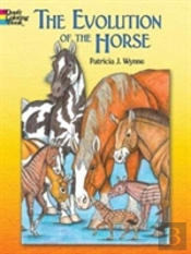 Evolution Of The Horse