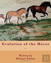 Evolution Of The Horse