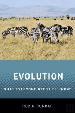 Bertrand.pt - Evolution