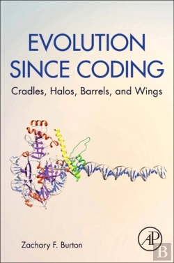 Bertrand.pt - Evolution Since Coding