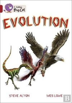 Bertrand.pt - Evolution