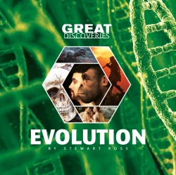 Bertrand.pt - Evolution