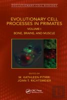 Evolutionary Cell Processes In Primates