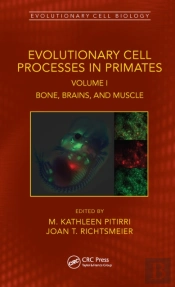 Evolutionary Cell Processes In Primates