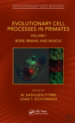 Bertrand.pt - Evolutionary Cell Processes In Primates