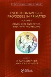 Evolutionary Cell Processes In Primates