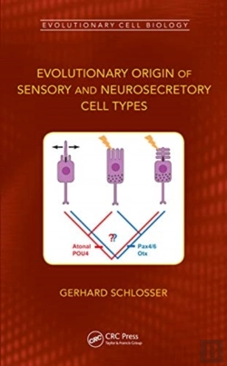 Bertrand.pt - Evolutionary Origin Of Sensory And Neurosecretory Cell Types