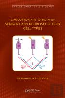 Evolutionary Origin Of Sensory And Neurosecretory Cell Types
