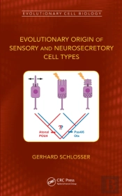 Evolutionary Origin Of Sensory And Neurosecretory Cell Types
