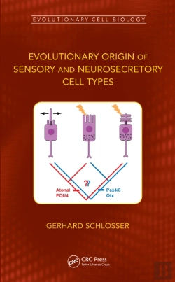 Bertrand.pt - Evolutionary Origin Of Sensory And Neurosecretory Cell Types