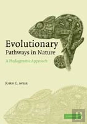 Evolutionary Pathways In Nature