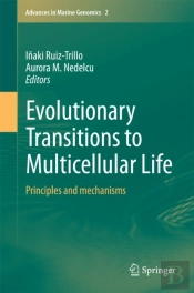 Evolutionary Transitions To Multicellular Life