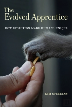 Bertrand.pt - Evolved Apprentice