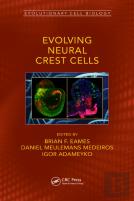 Evolving Neural Crest Cells
