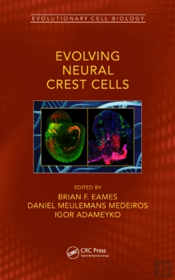 Bertrand.pt - Evolving Neural Crest Cells