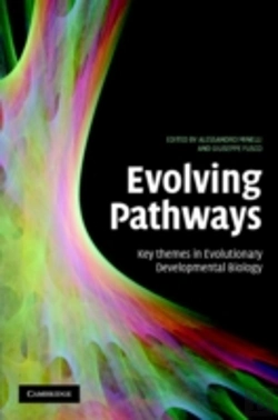 Bertrand.pt - Evolving Pathways