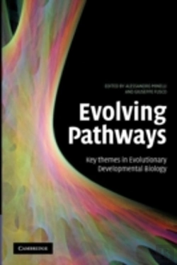 Bertrand.pt - Evolving Pathways