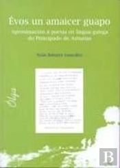 Évos Un Amaicer Guapo. Aproximación Á Poesía En Lengua Galega Do Principado De Asturias