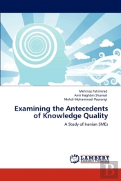 Examining The Antecedents Of Knowledge Quality