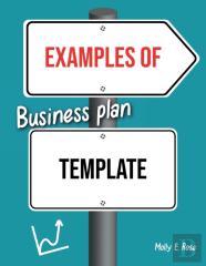 Examples Of Business Plan Template