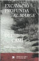 Excavacio Profunda Al Marge Del Cami
