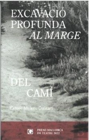 Excavacio Profunda Al Marge Del Cami